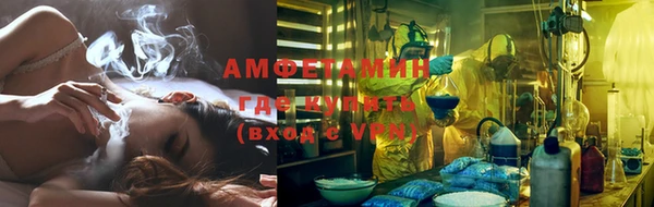 индика Володарск