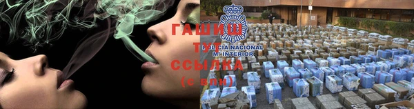 индика Володарск
