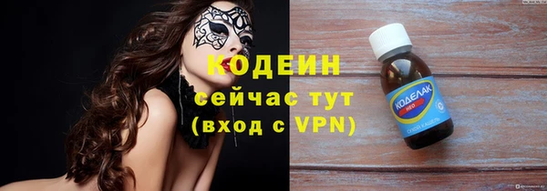 индика Володарск