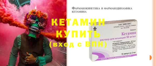 индика Володарск