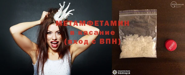 индика Володарск