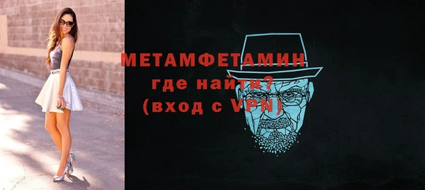 индика Володарск