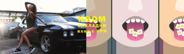 индика Володарск
