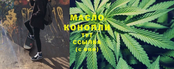 индика Володарск