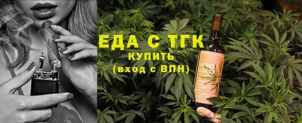 индика Володарск