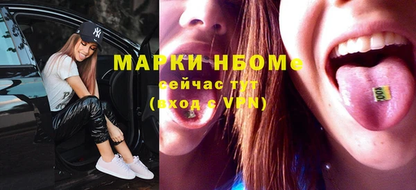 индика Володарск